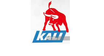 Kali logo